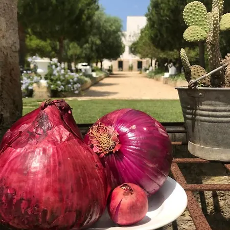 Tenuta Castelle